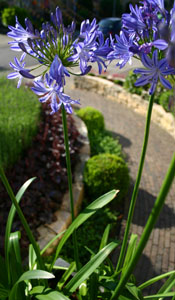 speeltoestel in tuin